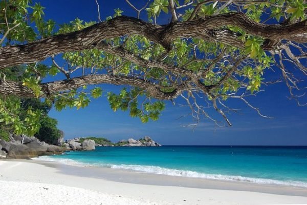 Explore Ang Thong Marine Park: Your Ultimate Tropical Adventure Awaits! - Image 5
