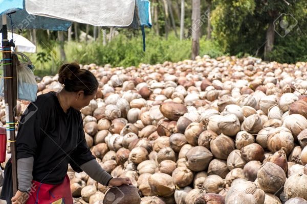 Explore Koh Phangan Day Tour - Image 6