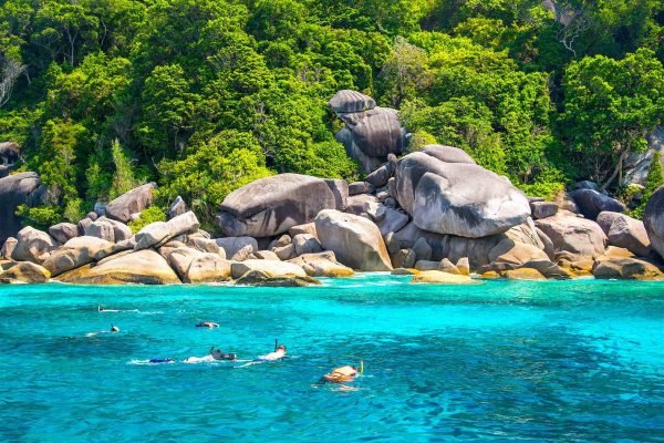 Koh Tao & Koh Nang Yuan Day Tour by Speed Boat - Image 3