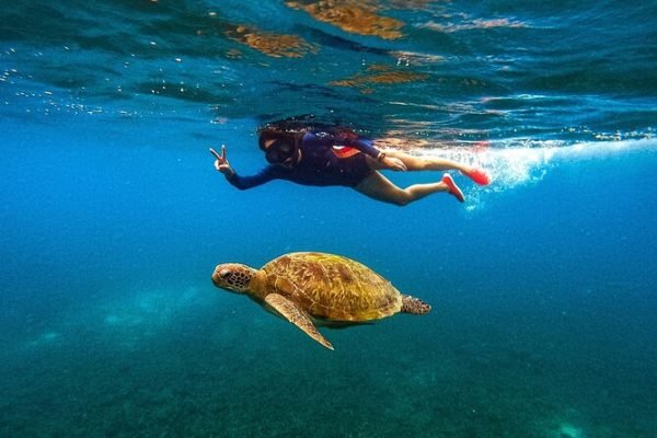Koh Tao & Koh Nang Yuan Day Tour by Speed Boat - Image 5