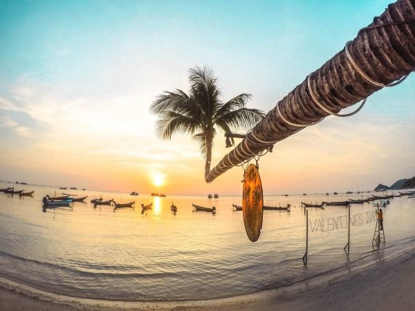 Koh Tao & Koh Nang Yuan Day Tour by Speed Boat - Image 8